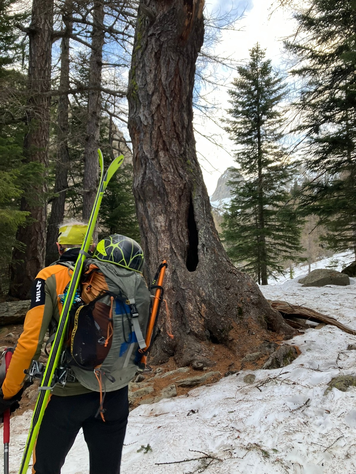 La traditionnelle&nbsp;