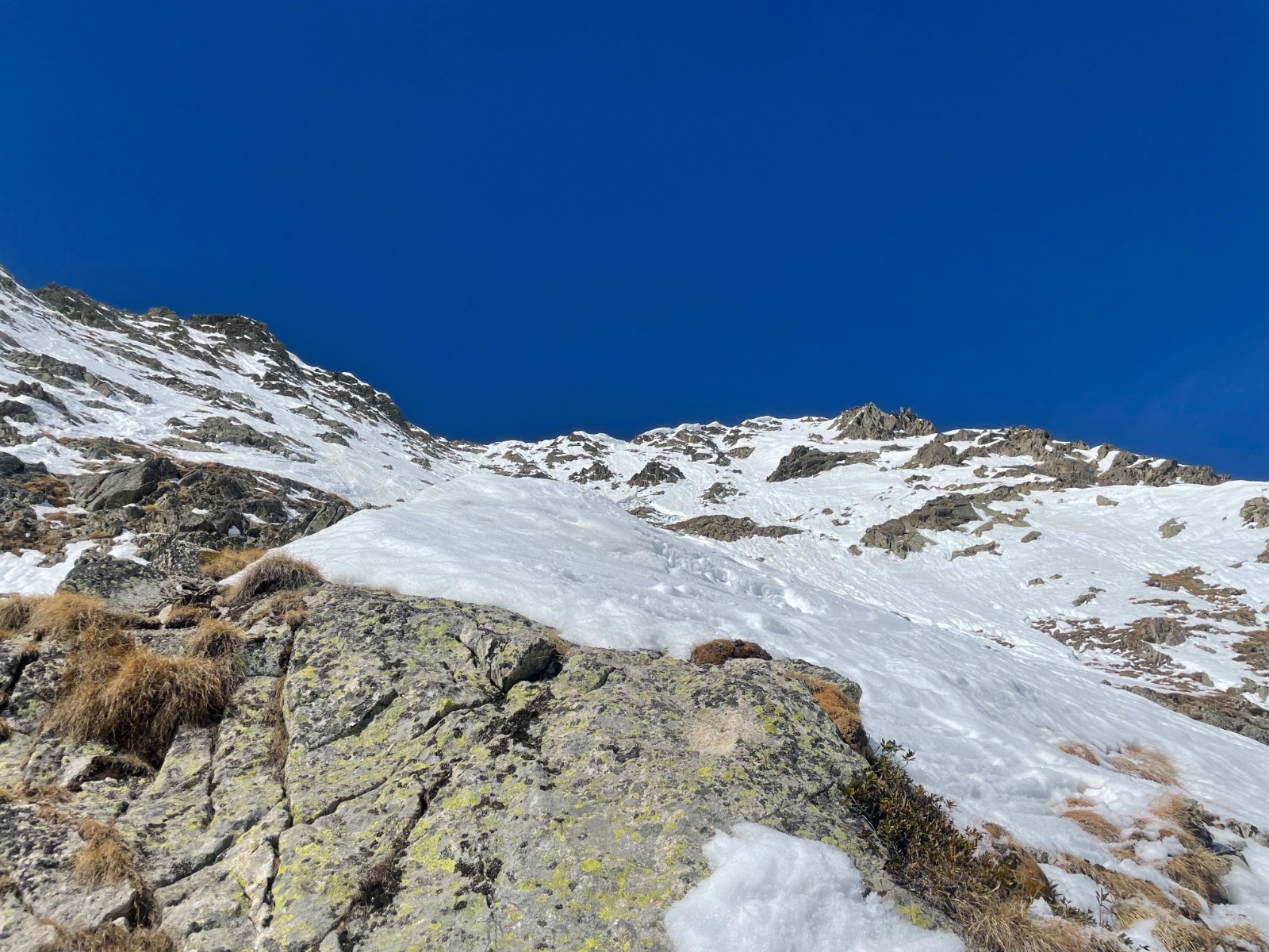 la partie supérieure de la face&nbsp;