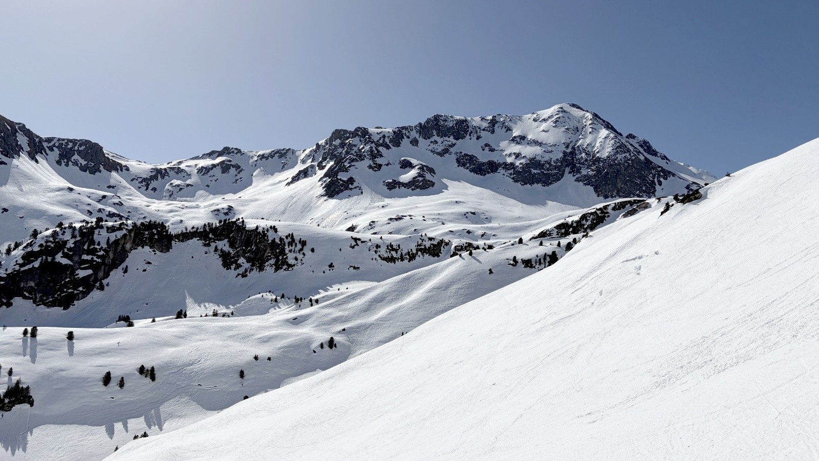 Le maitre des lieux (Gd Mont)&nbsp;