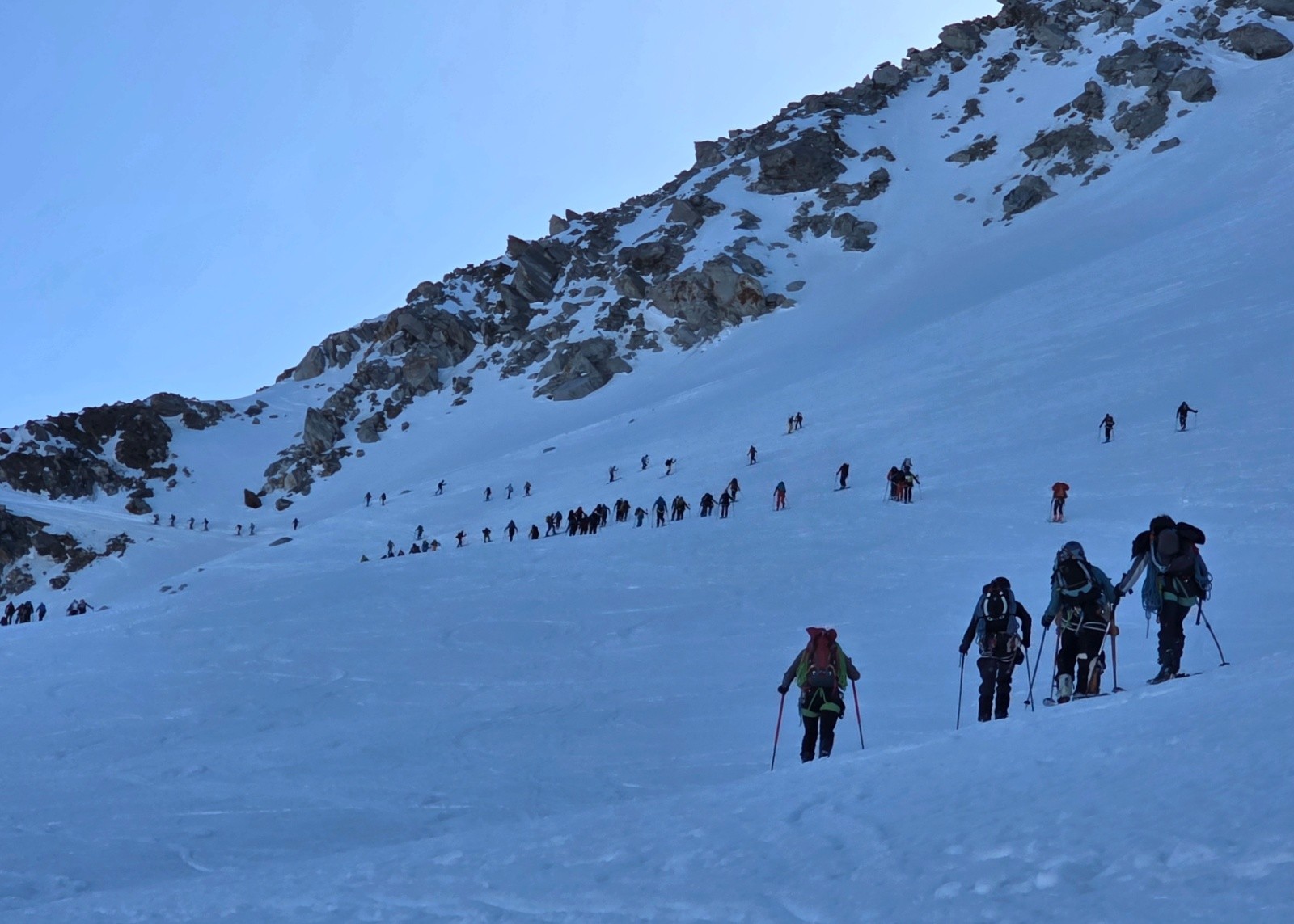 Chenilles processionnaire en direction du col de la Rechasse ce matin a 9h15 du mat (arrrrgh)