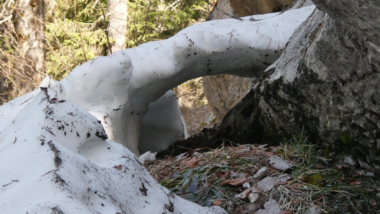 arche de Chartreuse (dédicace à MIRO)&nbsp;