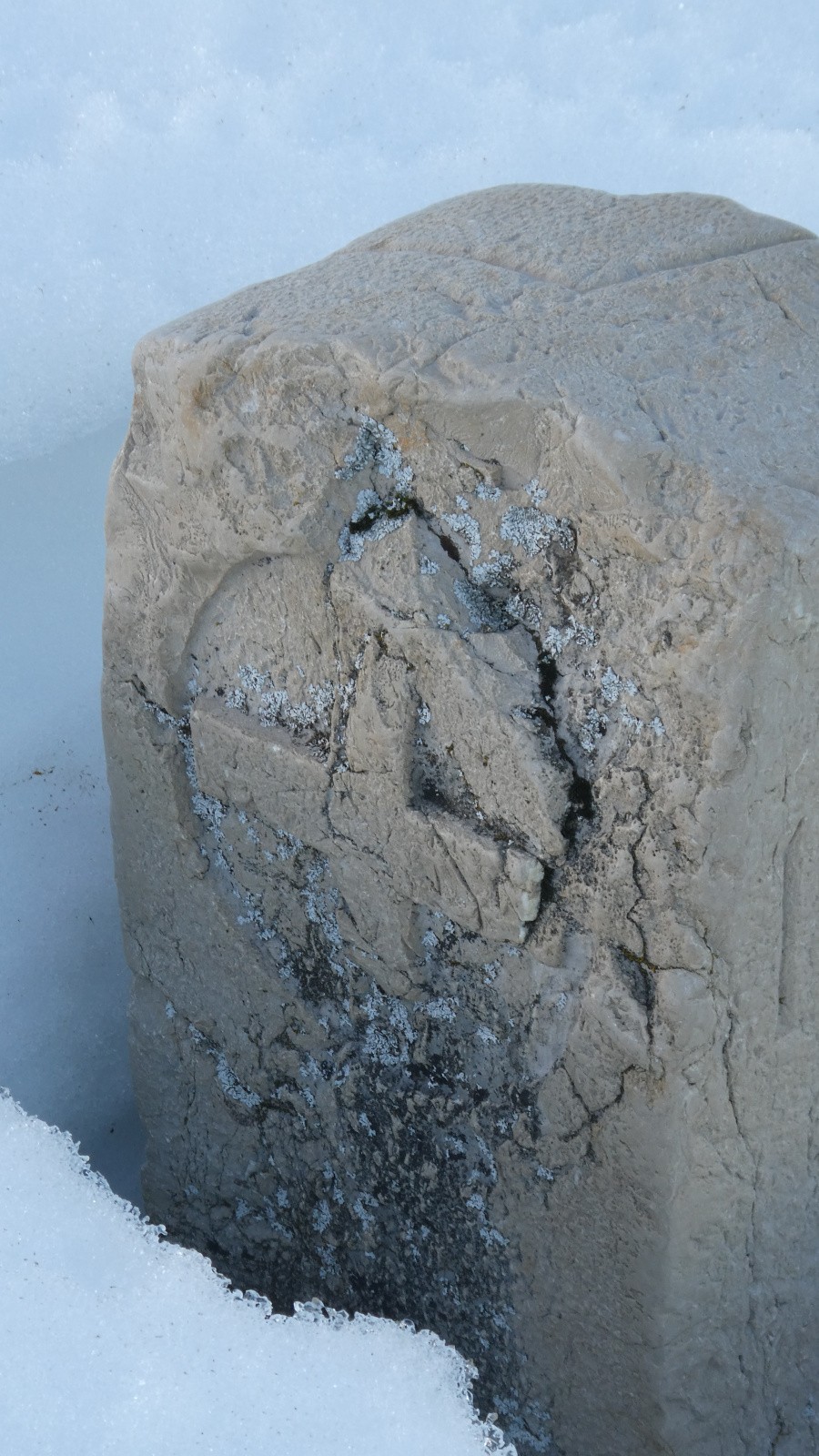 Croix de Savoie&nbsp;