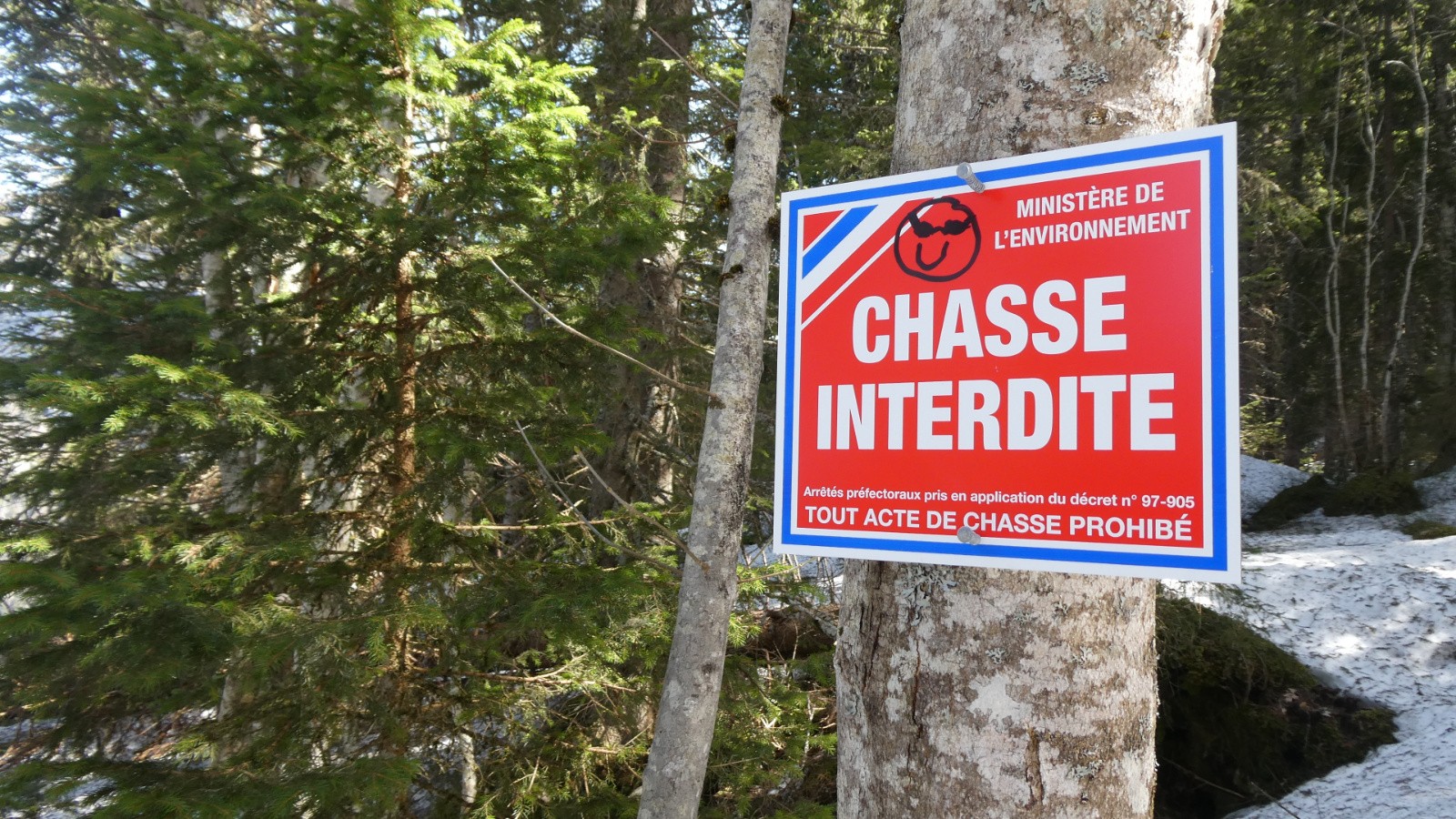 c'est pas trop tôt !