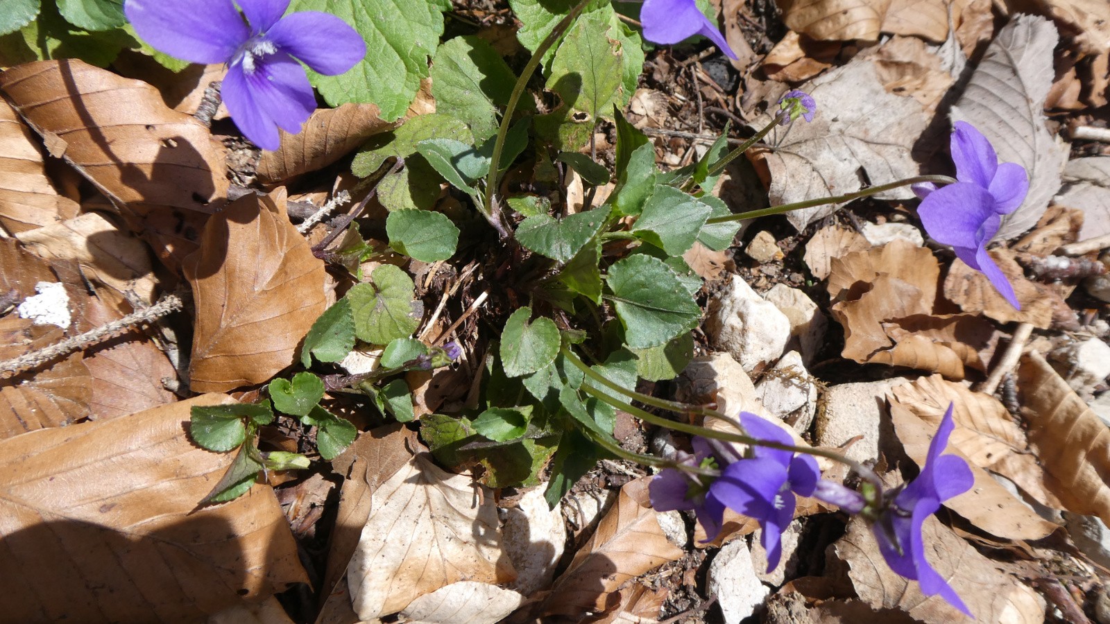 un peu de modestie ne peut pas faire de mal&nbsp;