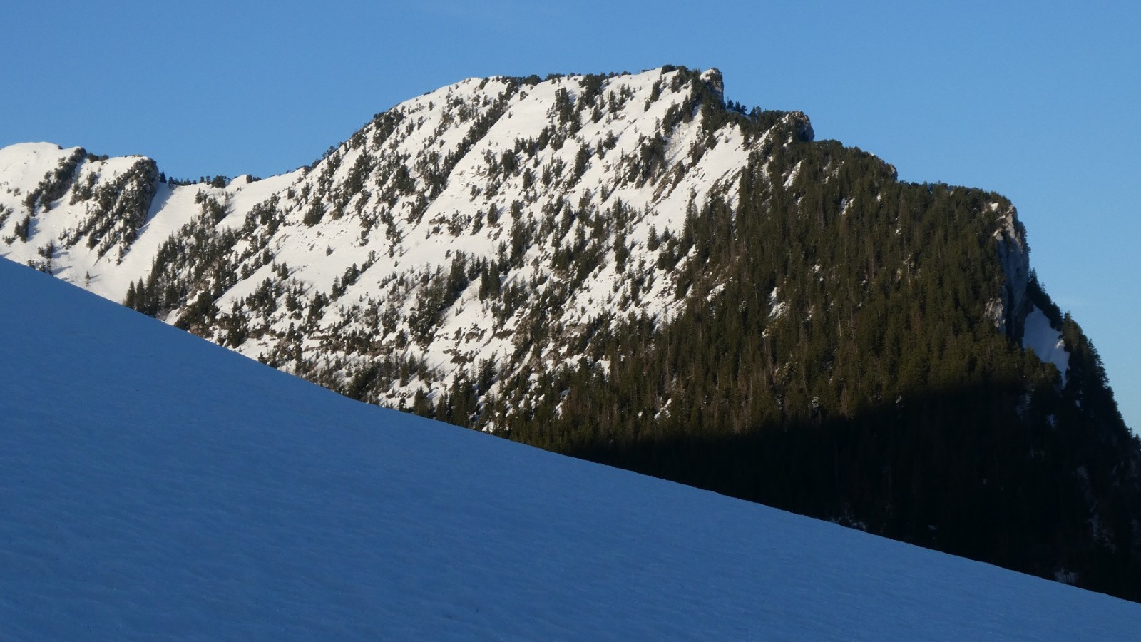Pointe de Blonnière et Crête de la Forêt Fendue&nbsp;