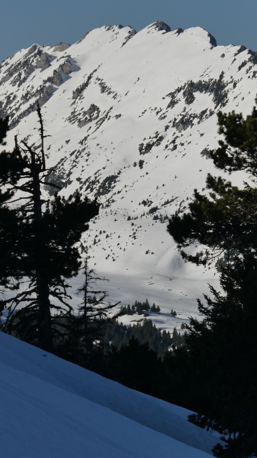 Etat de la face E des Lances de Malissard&nbsp;