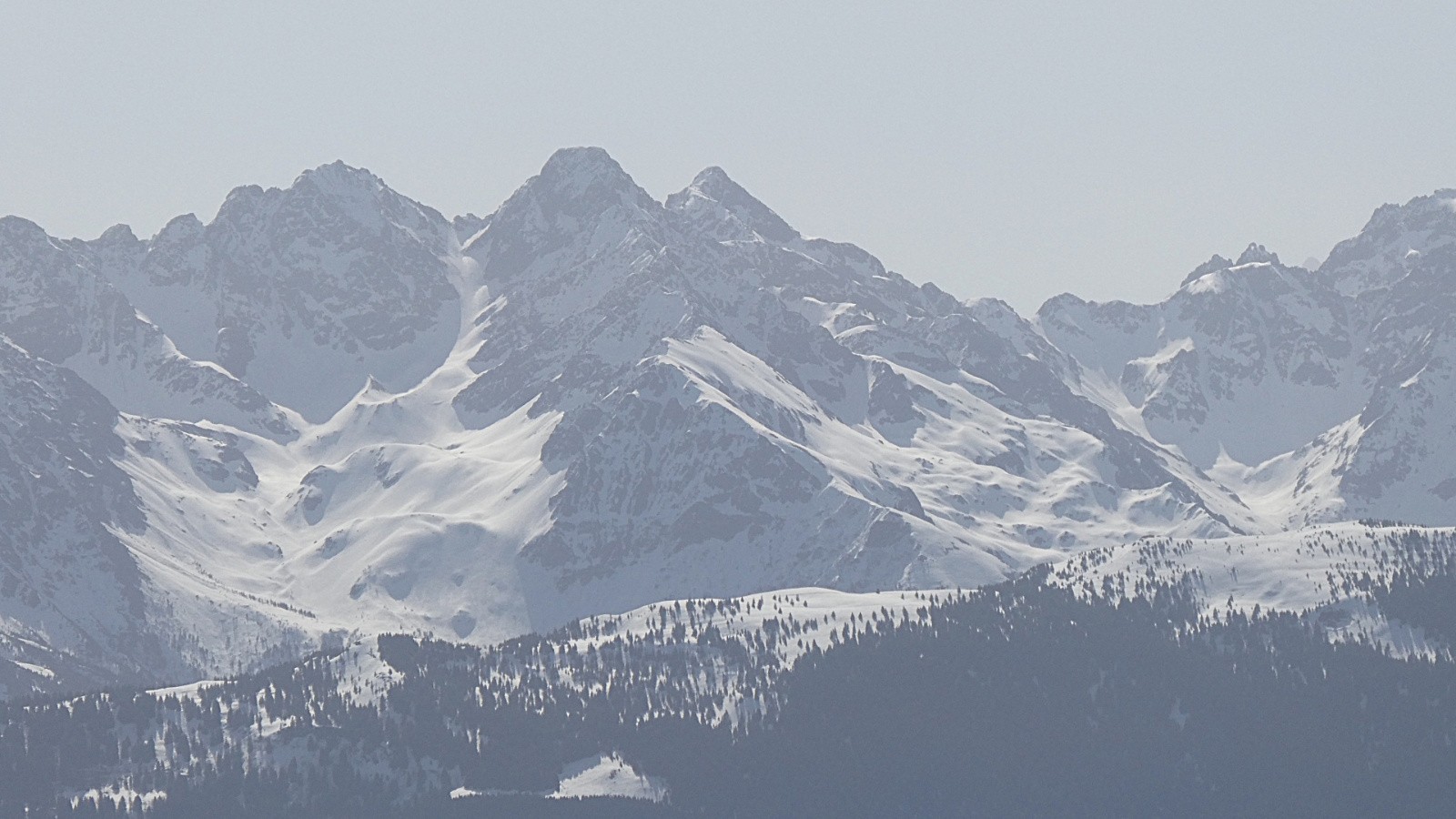 zoom sur le Ht Breda (dédicace à MarinD)