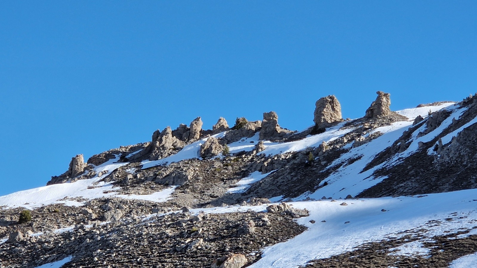 Silhouettes matinales