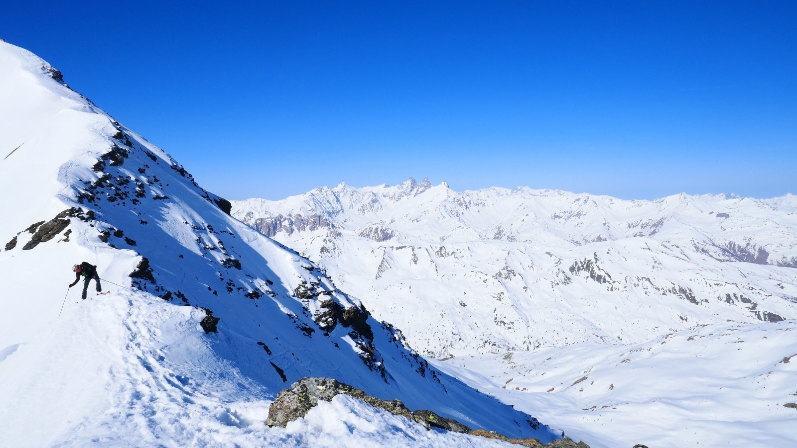 #12 Il tate la moquette...😇 Il tate la moquette...😇