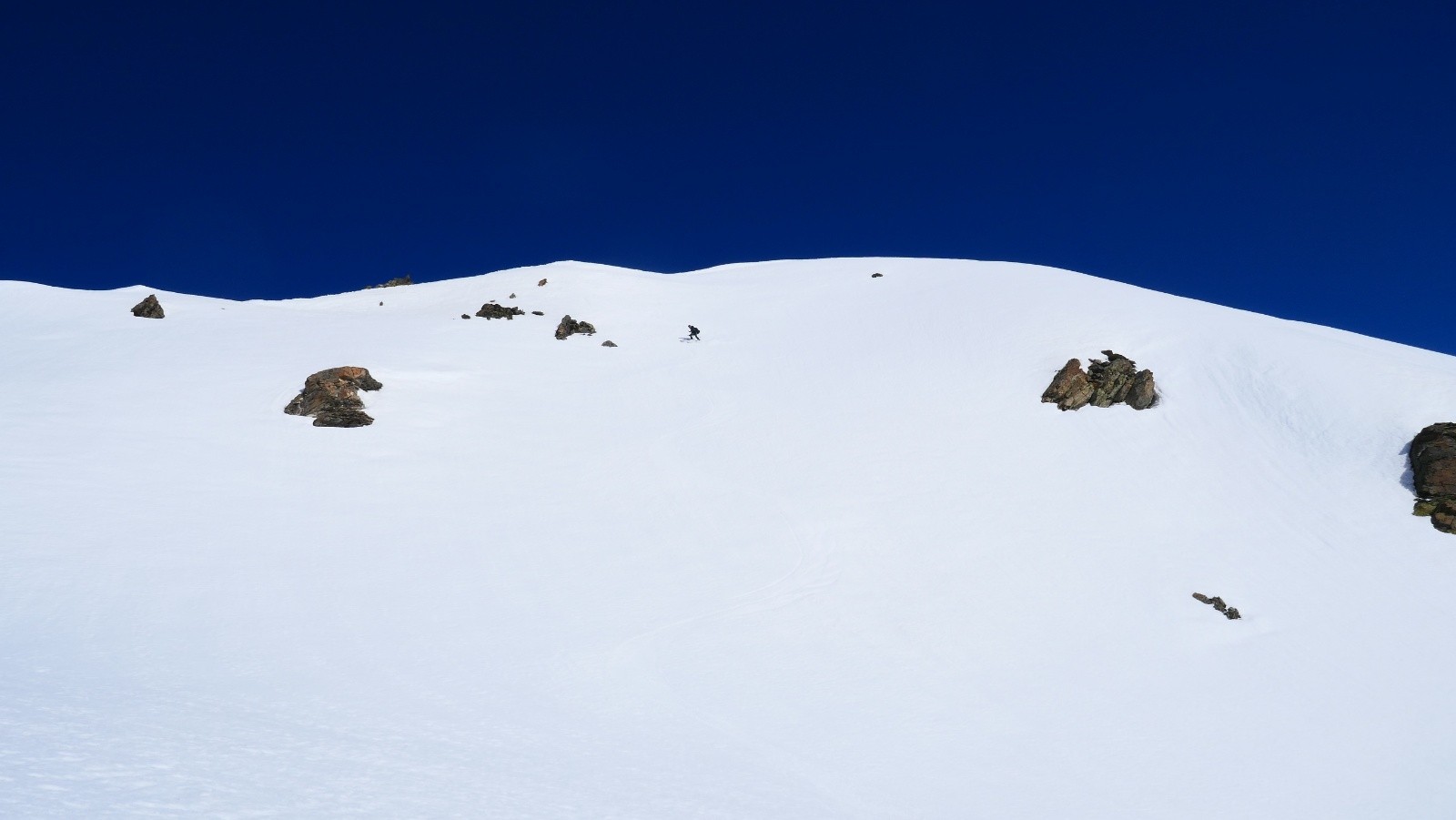 #16 Belle moquette à poil ras! Belle moquette à poil ras!