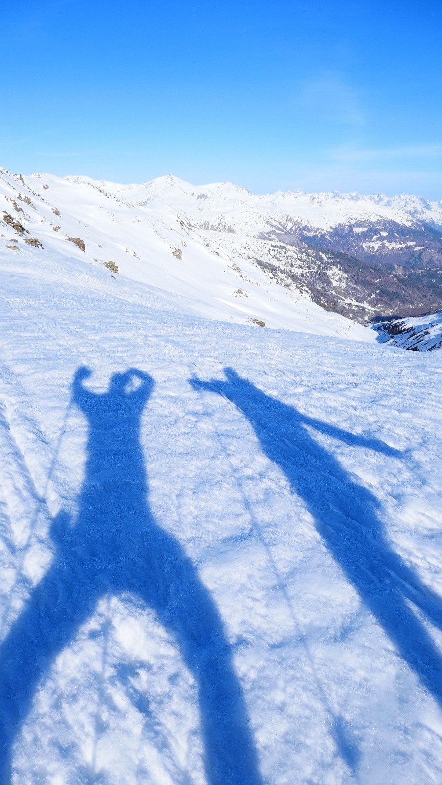 #6 Zinzins du coin! Zinzins du coin!