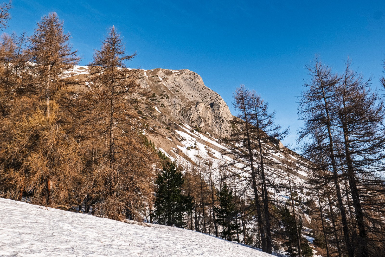 Pic de l'Aiguille&nbsp;