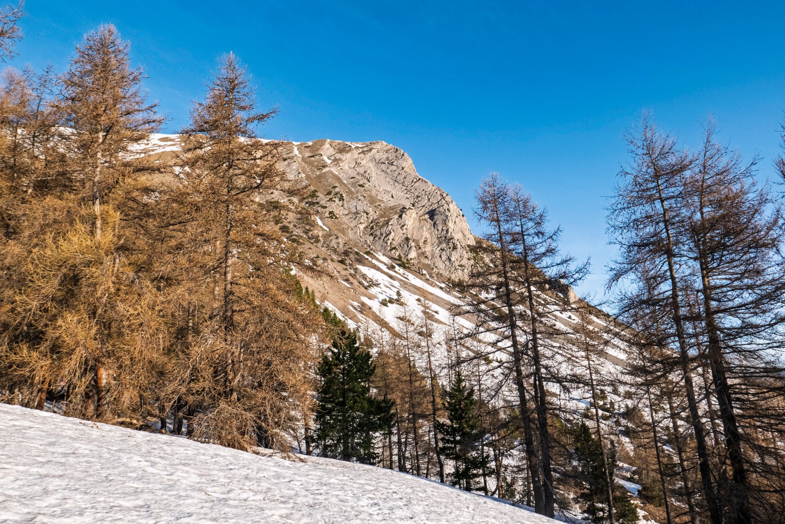 Pic de l'Aiguille&nbsp;&nbsp;