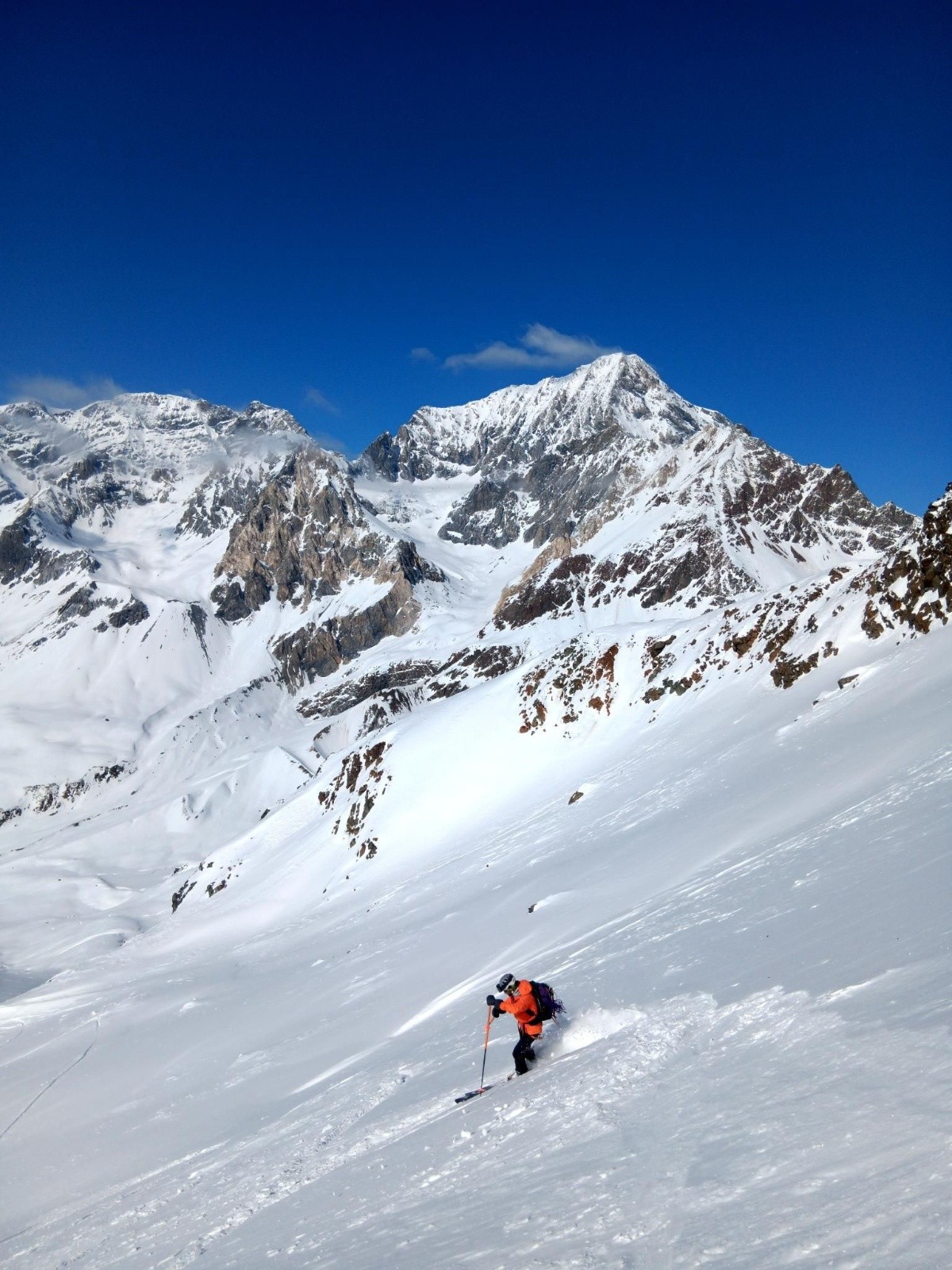 J6: Toto dans la descente de la Cima di Forni Centrale, devant la face S du Gran Zebrù&nbsp;