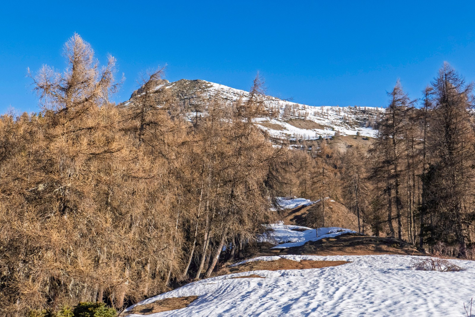 Face sud très limite, avec des passages sur herbe comme au premier plan...