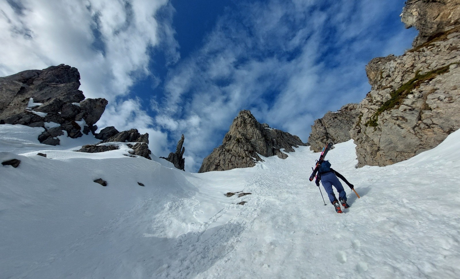 #4 il s il s'affine et se raidit sur la fin