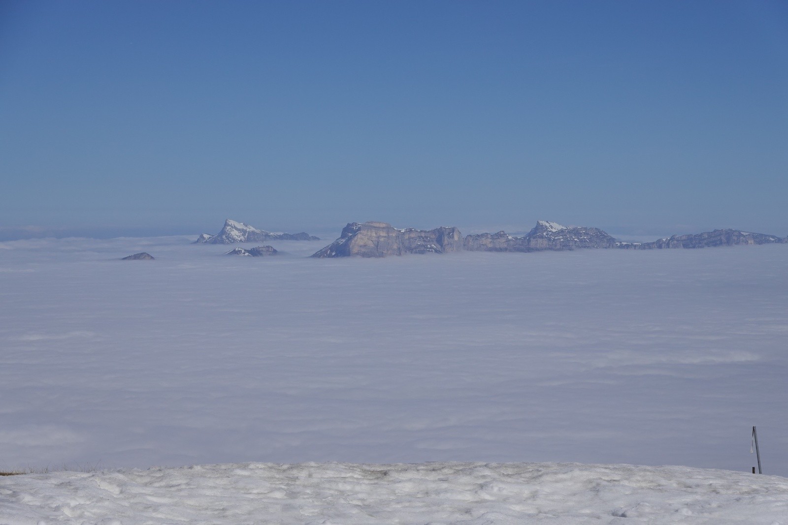 #11 Notre Chartreuse Notre Chartreuse