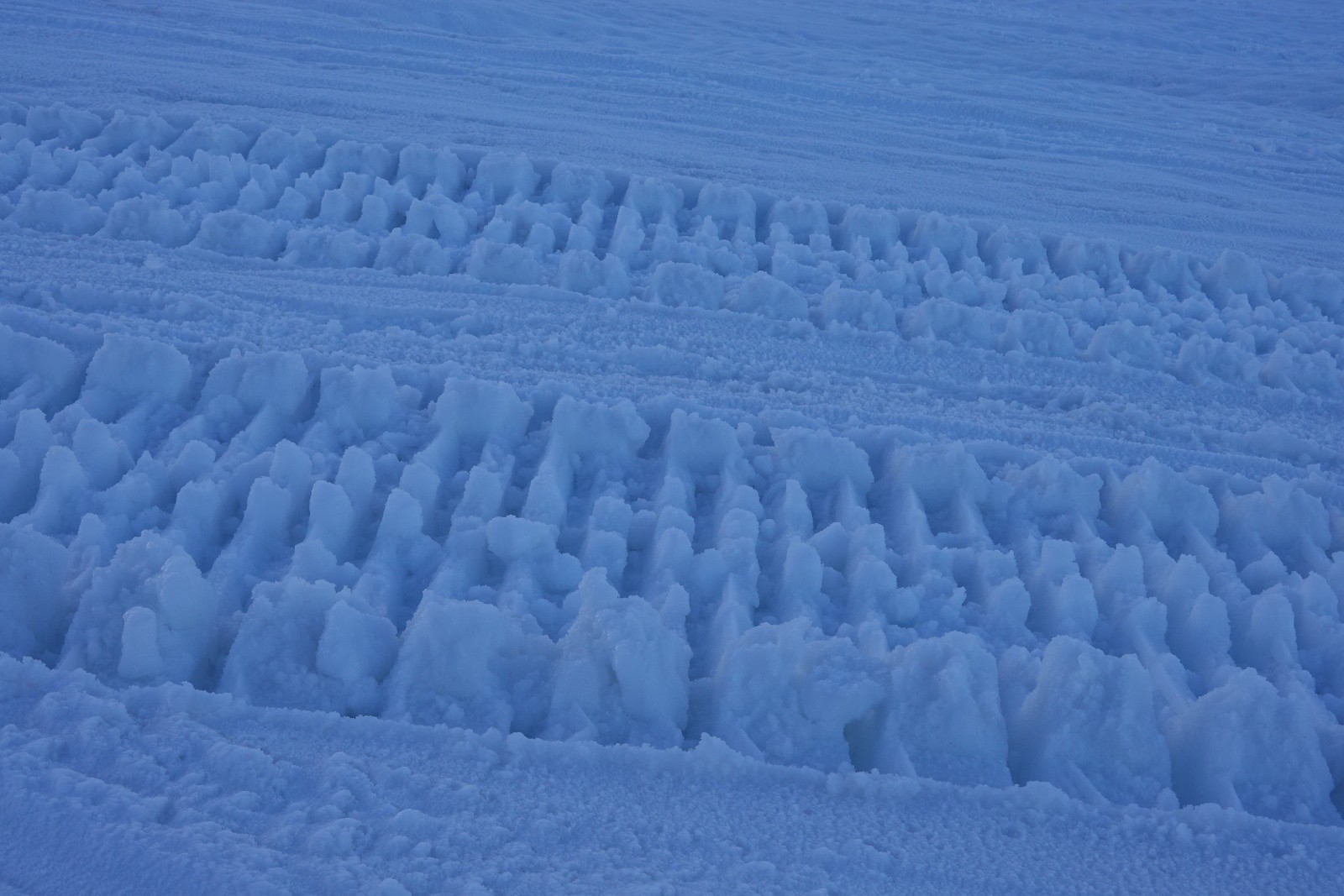 #2 Massacre Massacre