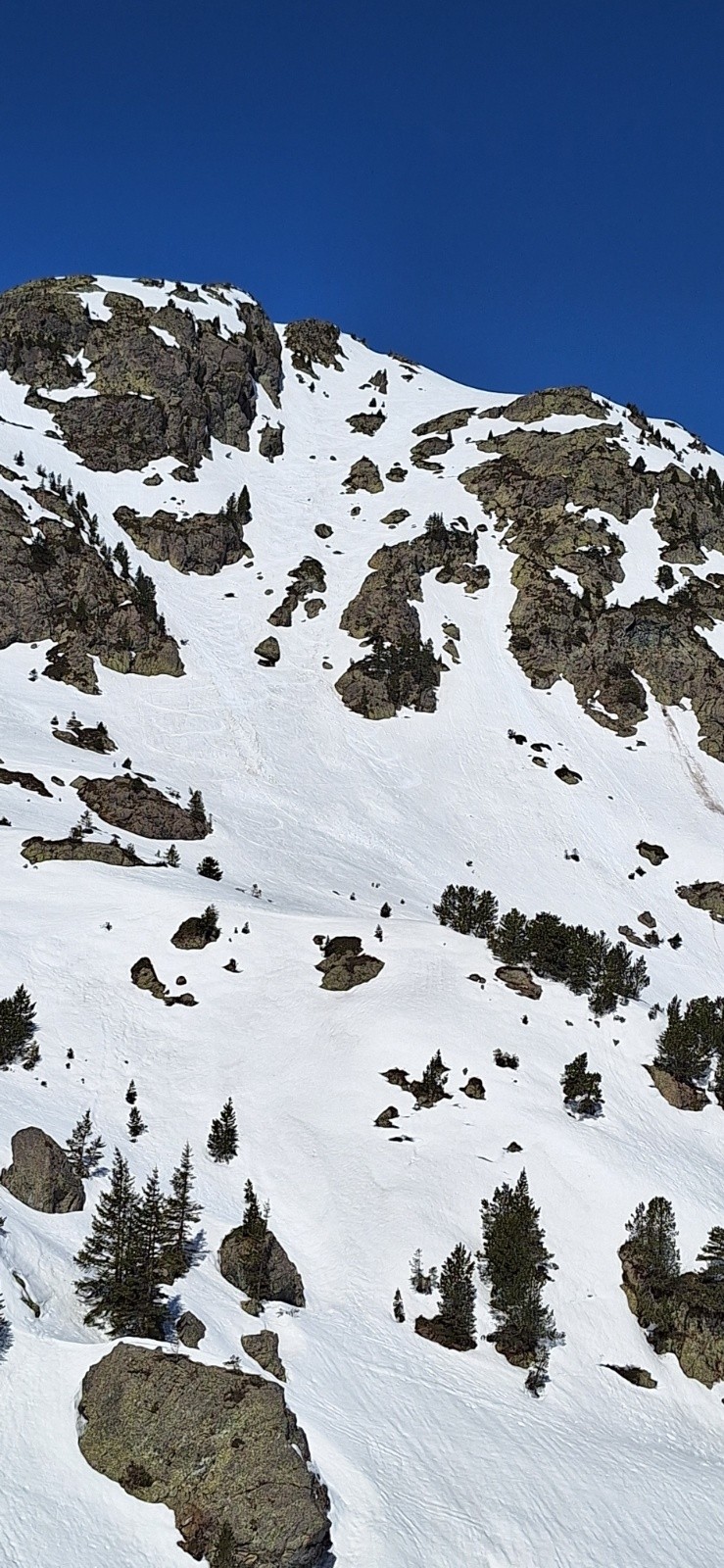 Est Grand Eulier&nbsp;