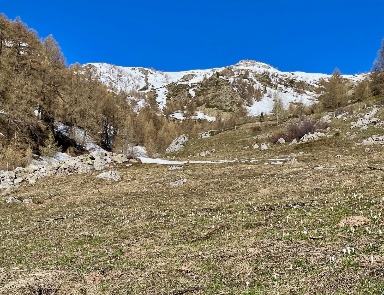 #6 fin du ski (si, si il y avait encore de la neige jusque là) fin du ski (si, si il y avait encore de la neige jusque là)