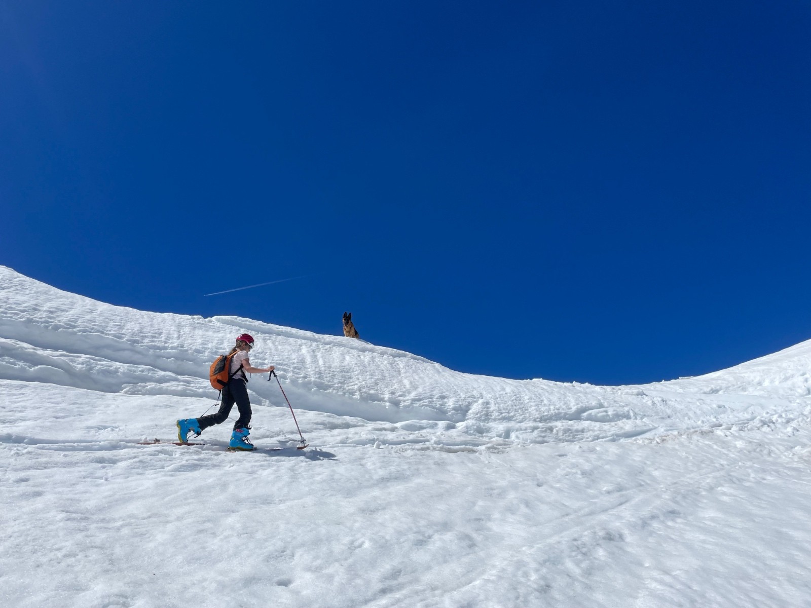 #17 Sous le col de Claran, deux oreilles patientent Sous le col de Claran, deux oreilles patientent