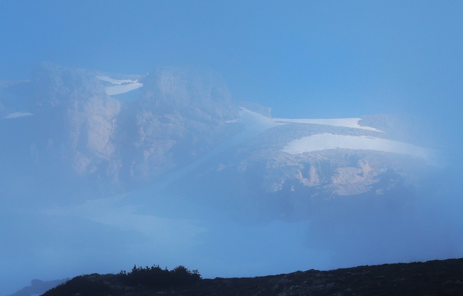 Furtive apparition&nbsp;