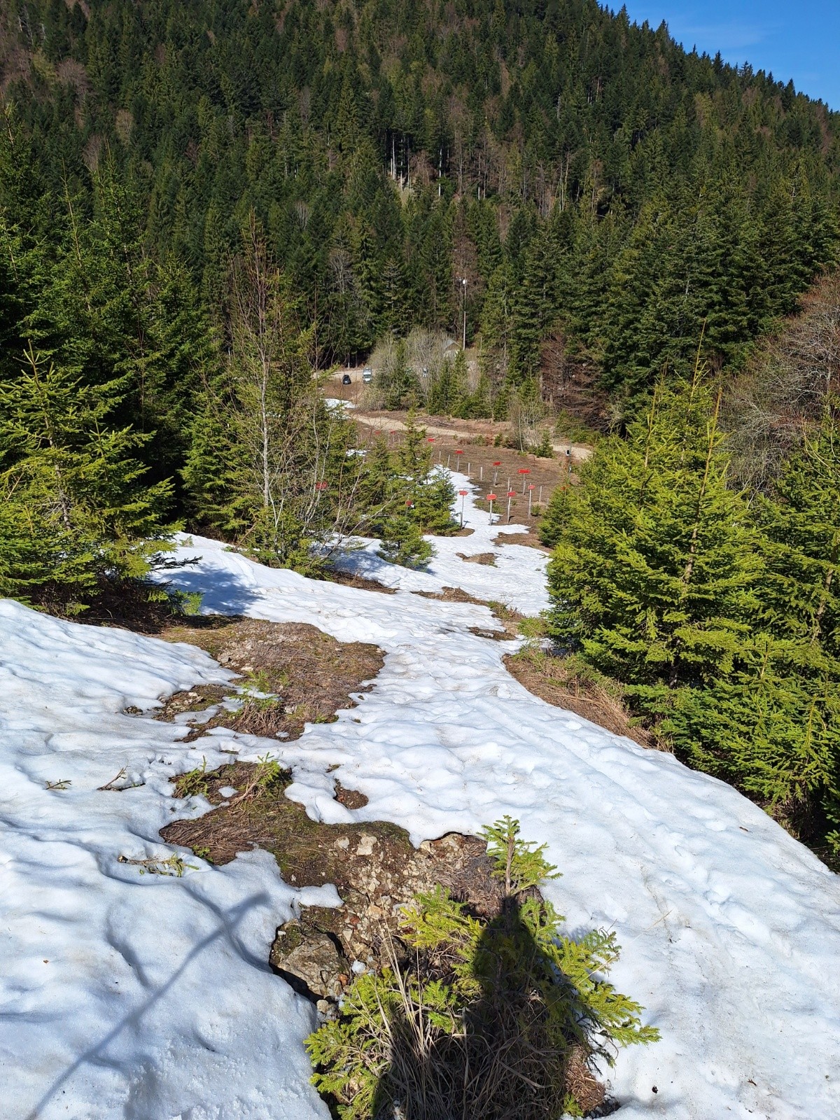 mes derniers virages en Chartreuse