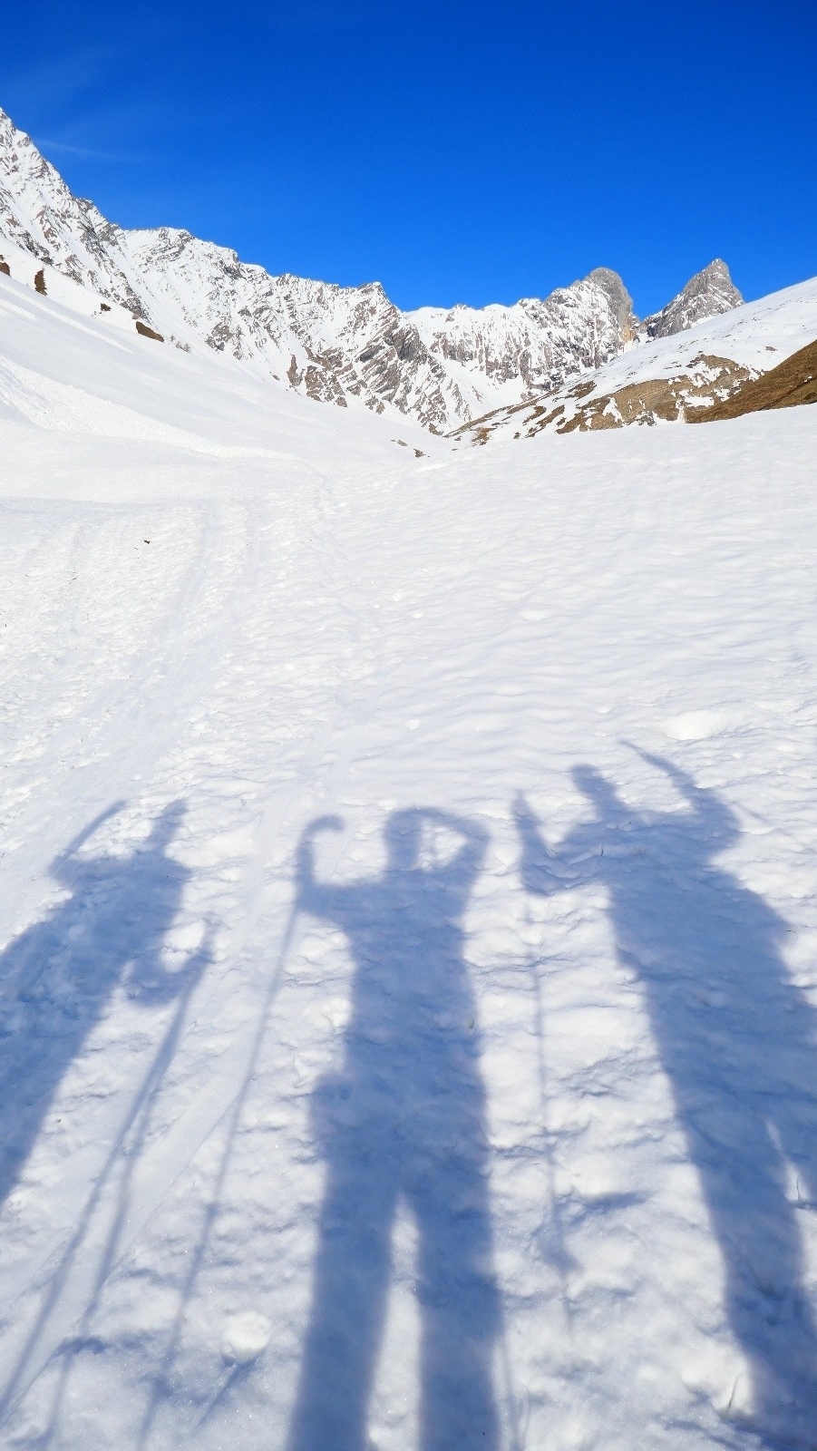 Zinzin... de s'être fait piquer comme ça!