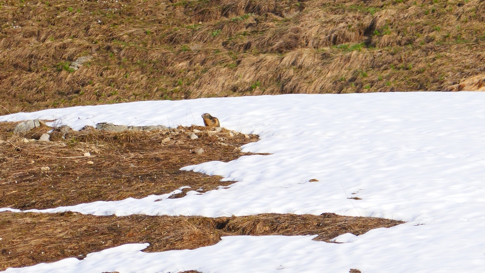 Coucou toi, ça bronze?