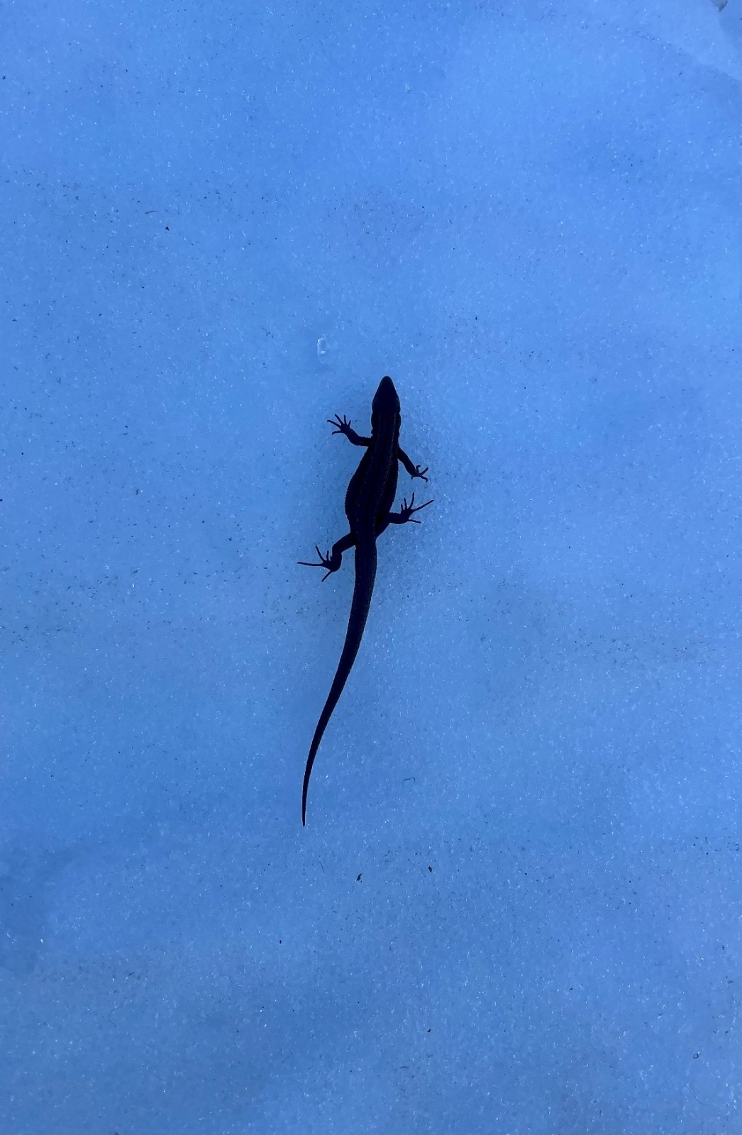 &nbsp;vers 1800 - pas très en forme :/