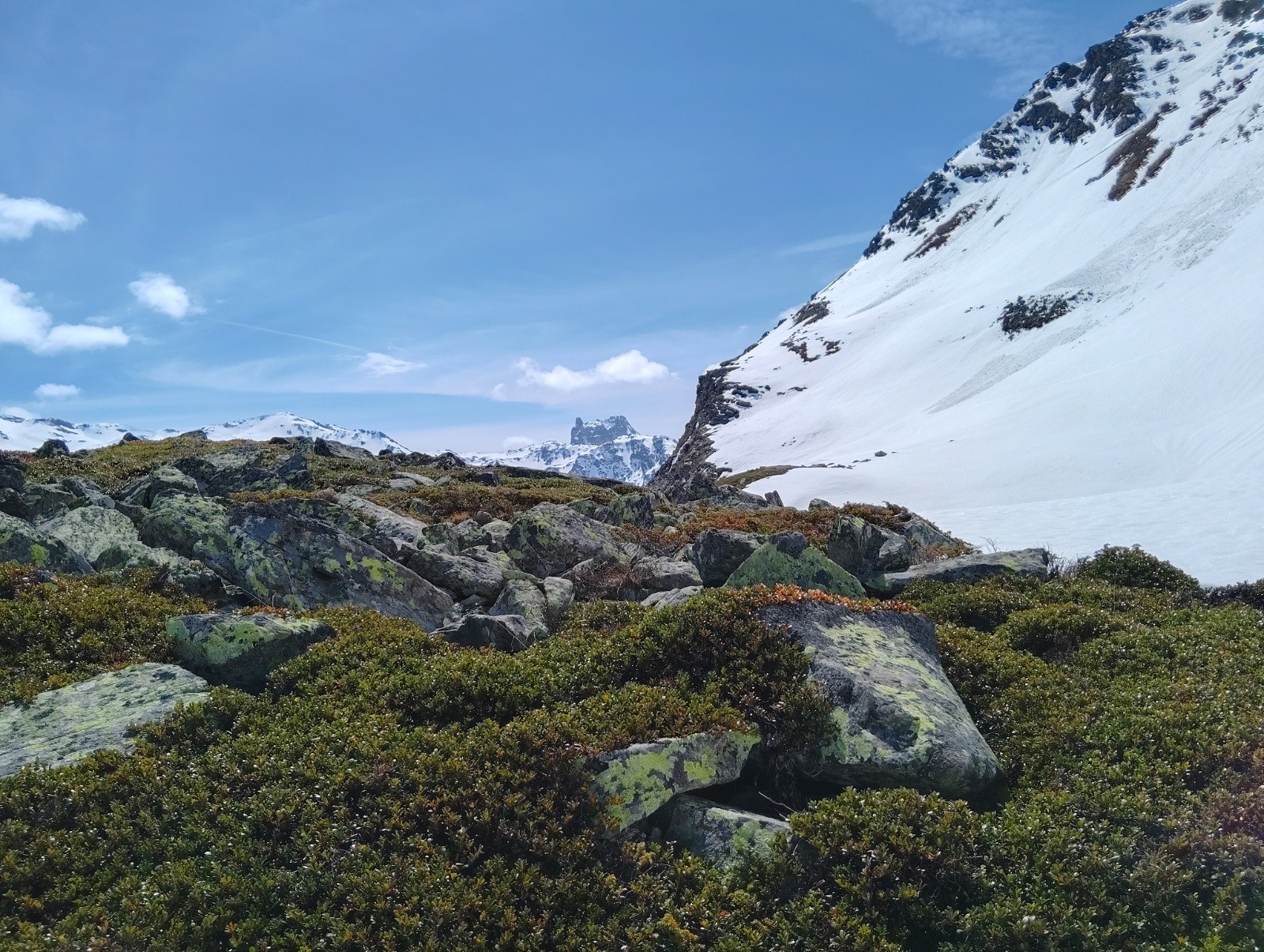 &nbsp;Le cheval Blanc au loin, près du Thabor&nbsp;