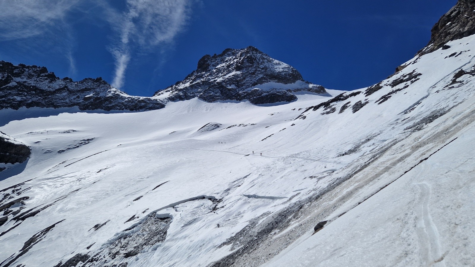 Pic de Gardiner, et quelques fourmis&nbsp;