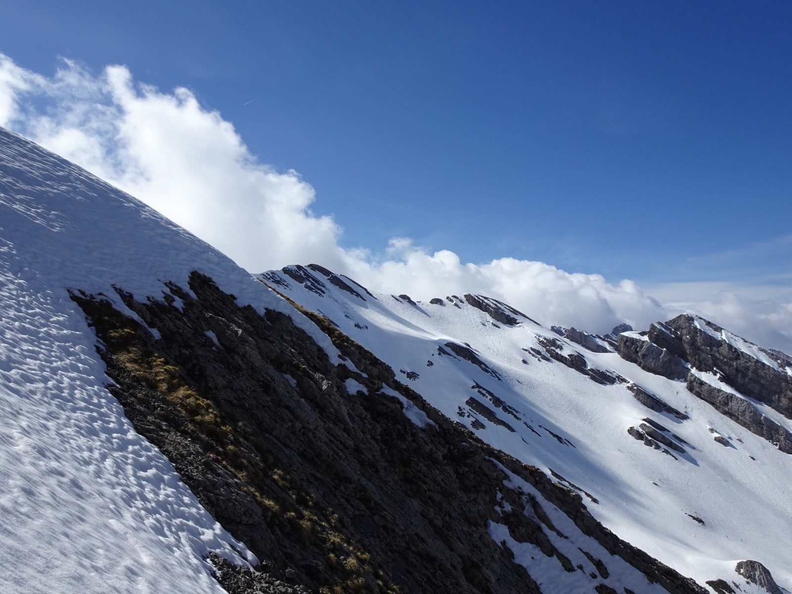 Tête Pelouse au loin