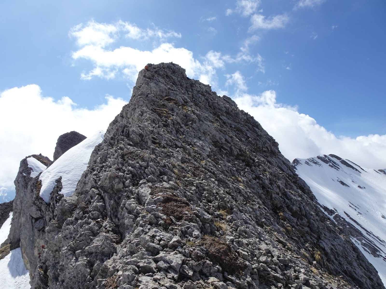 L'arrête sommitale. A gauche combe de Paccaly, à droite combe du Grand Crêt