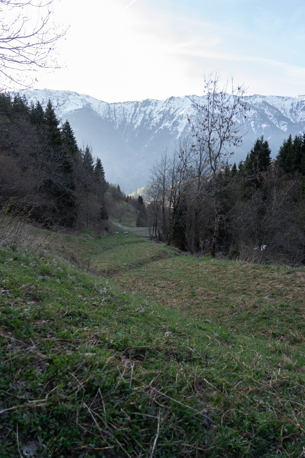 &nbsp;La neige s'est fait attendre sur le chemin