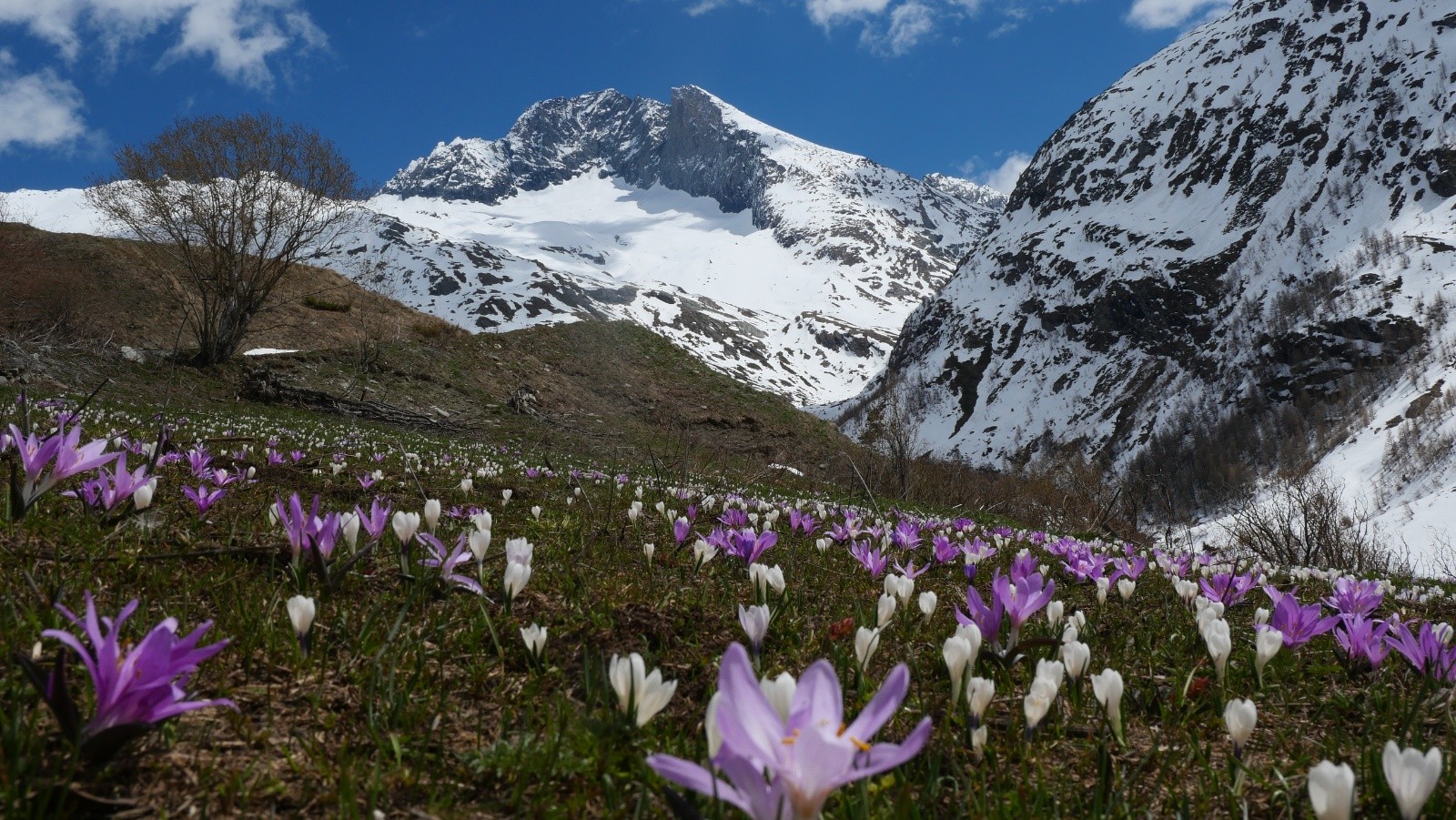 La magie du ski de printemps&nbsp;