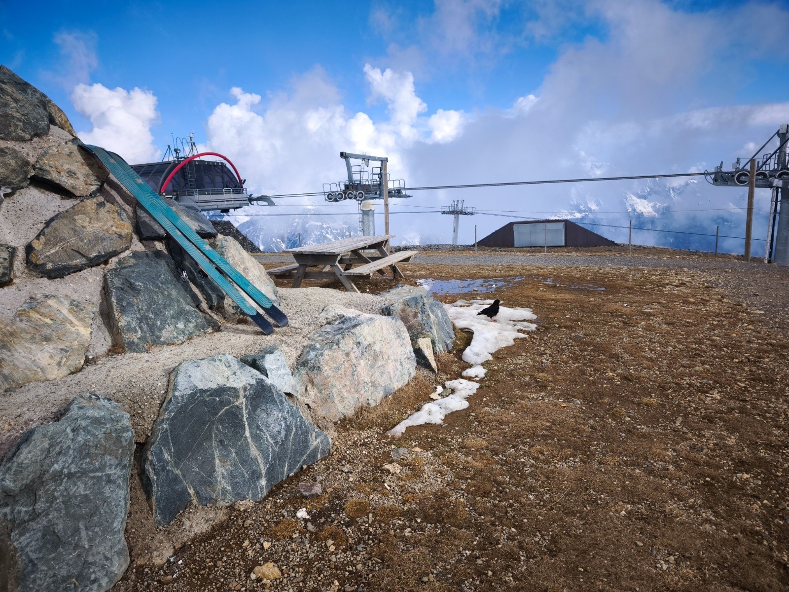 Journée à faune vu la quiétude de cette heure.&nbsp;