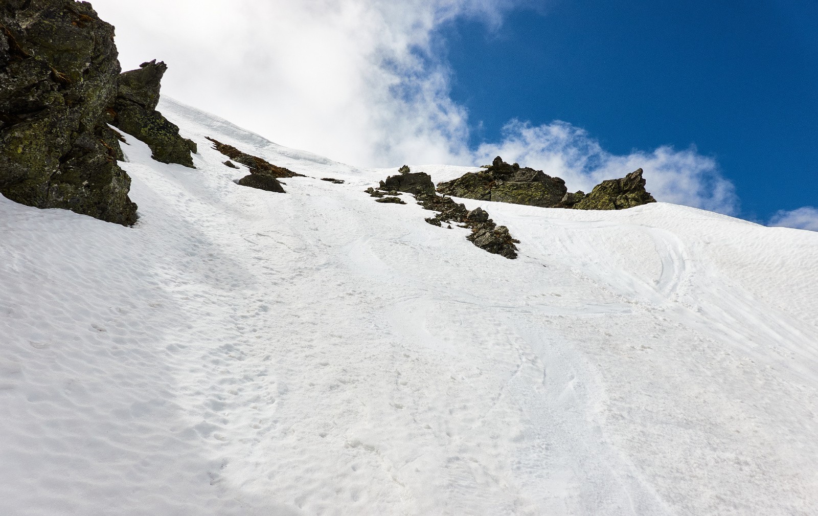 Haut de la face N tip top...