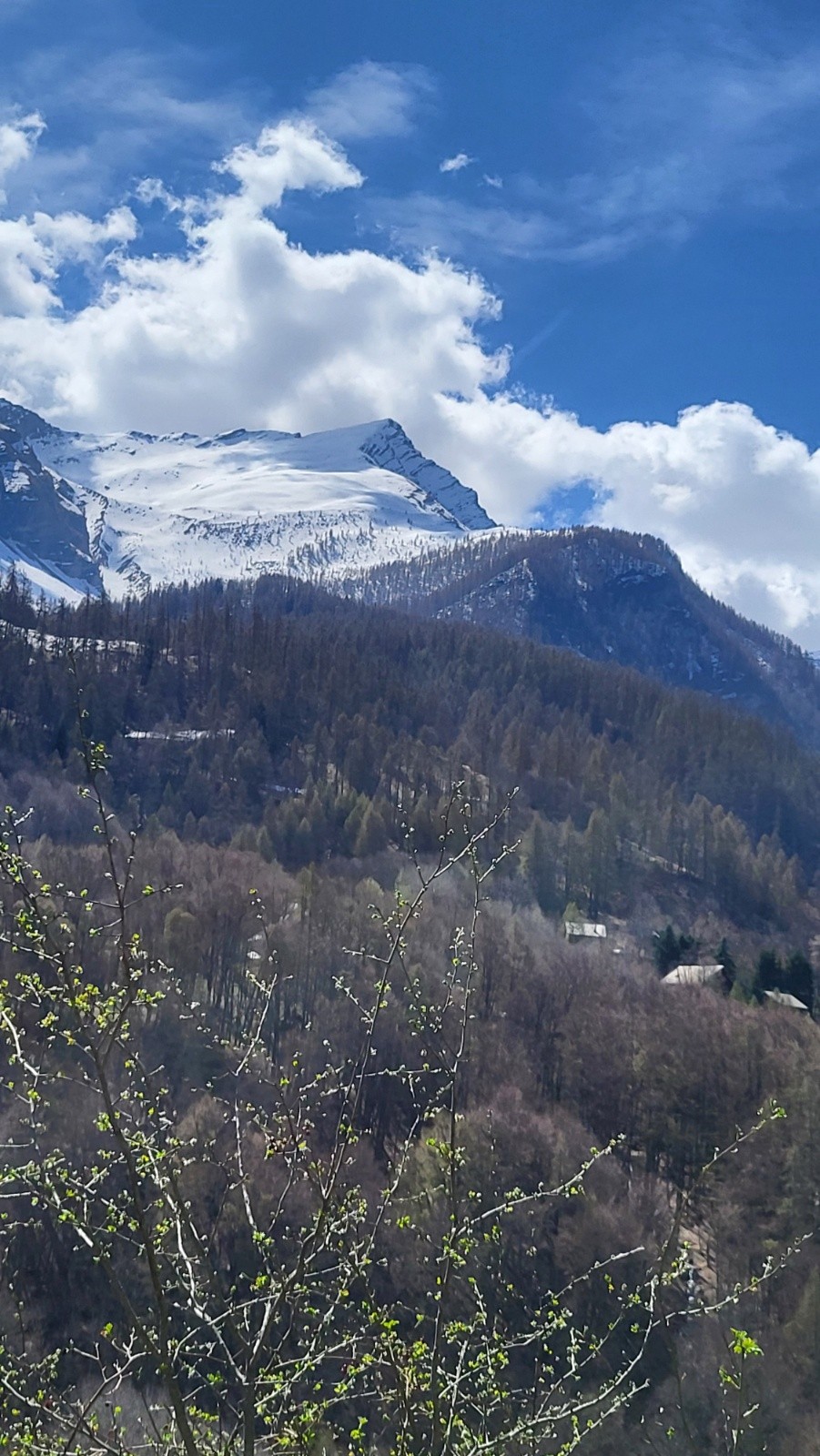 Tentante Aiguille&nbsp;