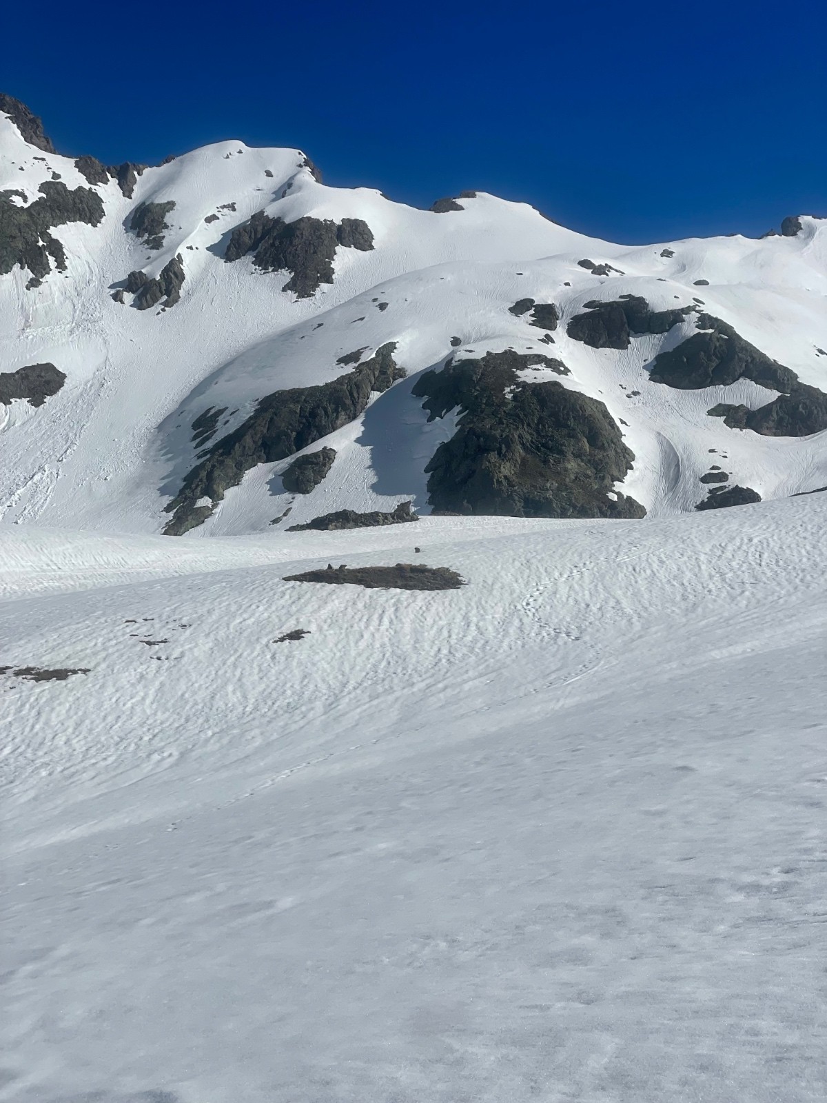Deux marmottes contentes d’être là