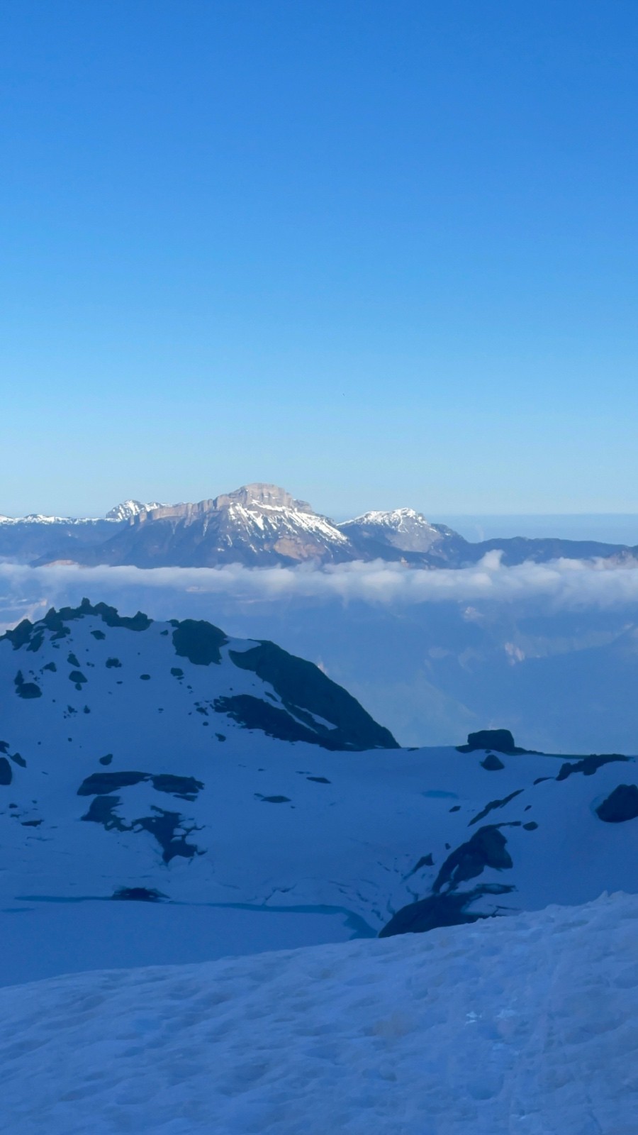 La chartreuse se réveille&nbsp;