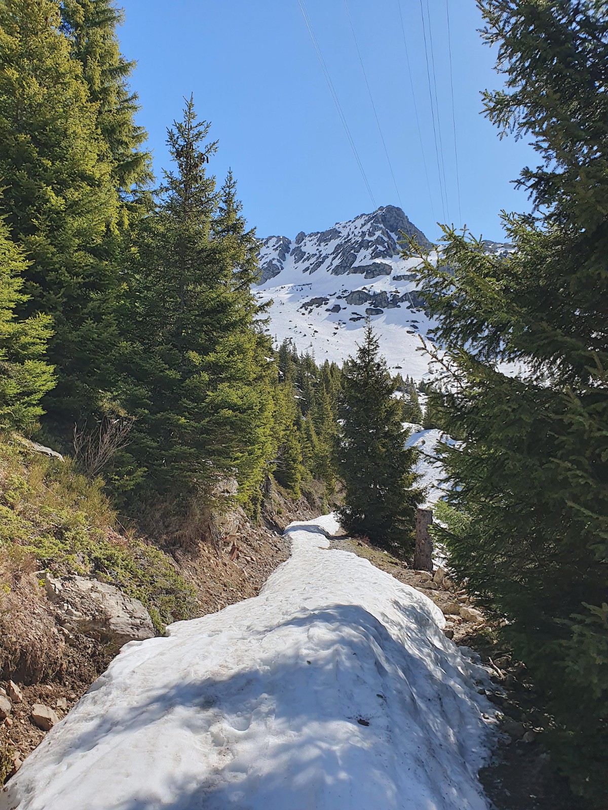 Pas de Pin, pas de chocolat