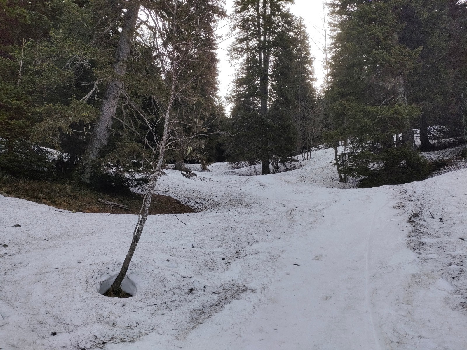 Ah ! On peut chausser enfin !&nbsp;