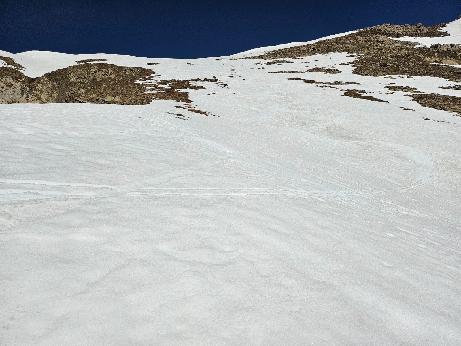 Moquette à poils long en haut du vallon Sud