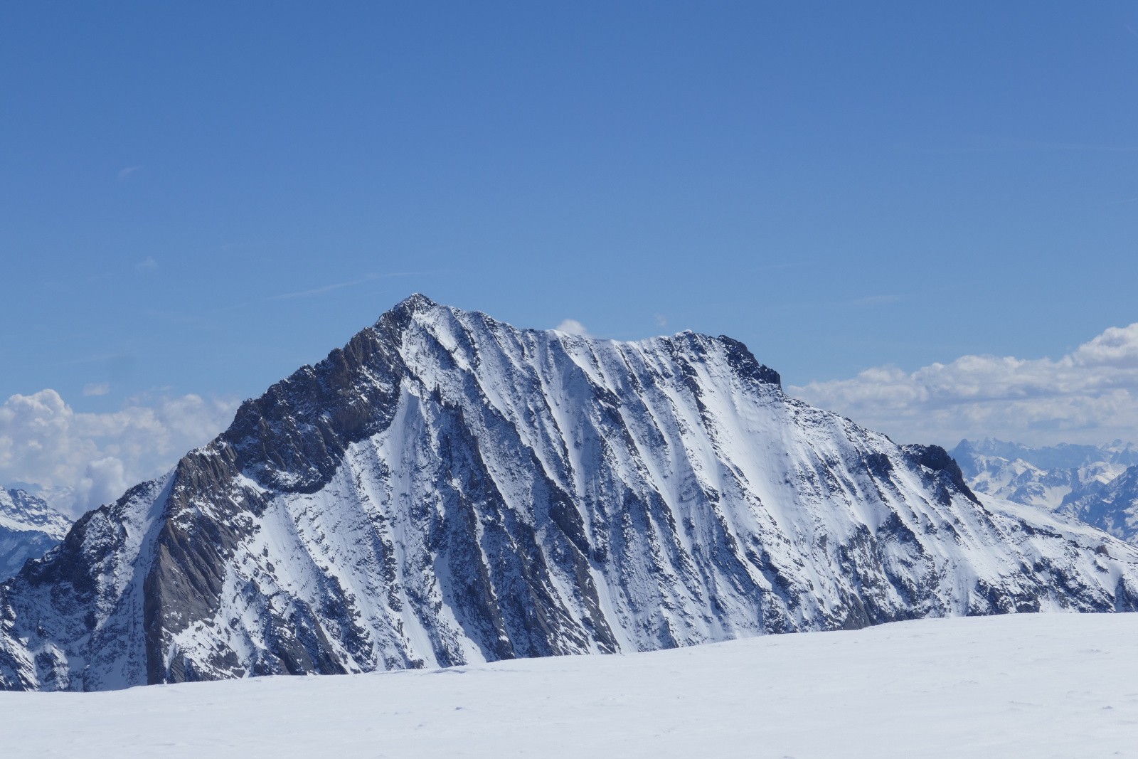 La belle Parrachée&nbsp; 