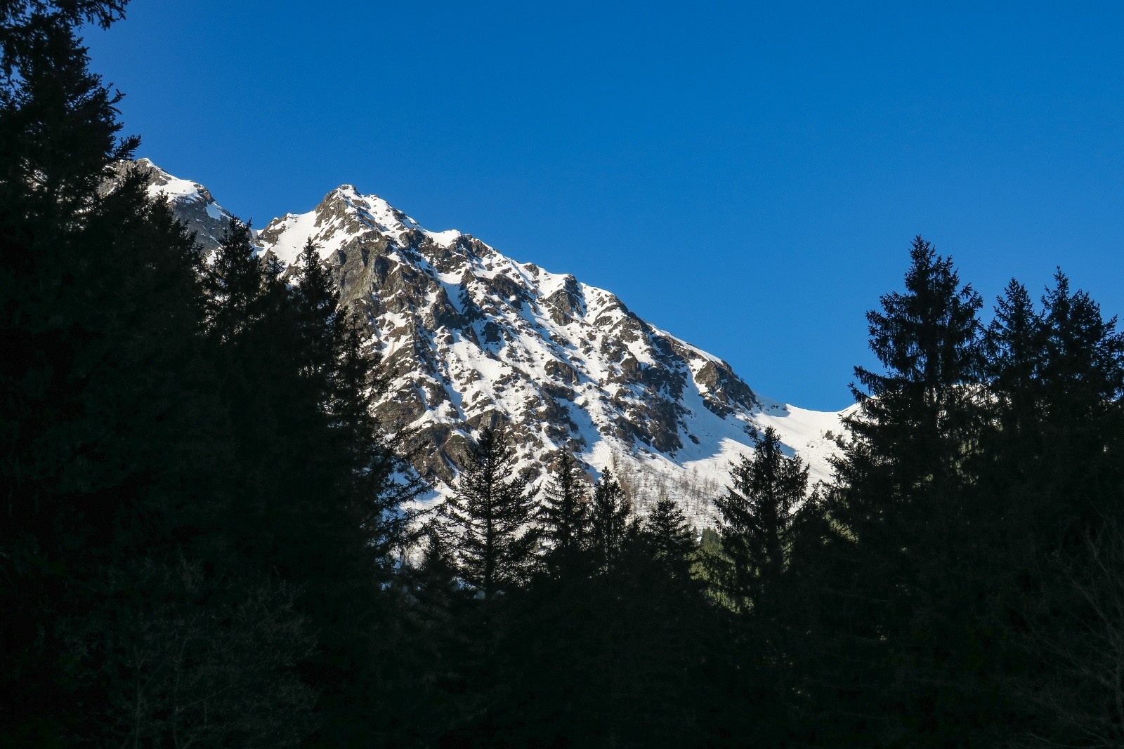 &nbsp;Bel éclairage matinal