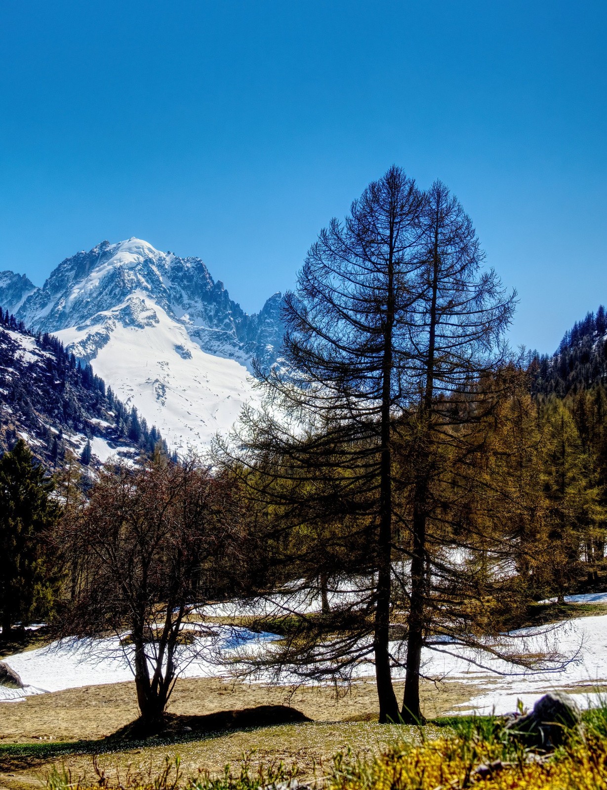 paisible endroit pour la sieste&nbsp;