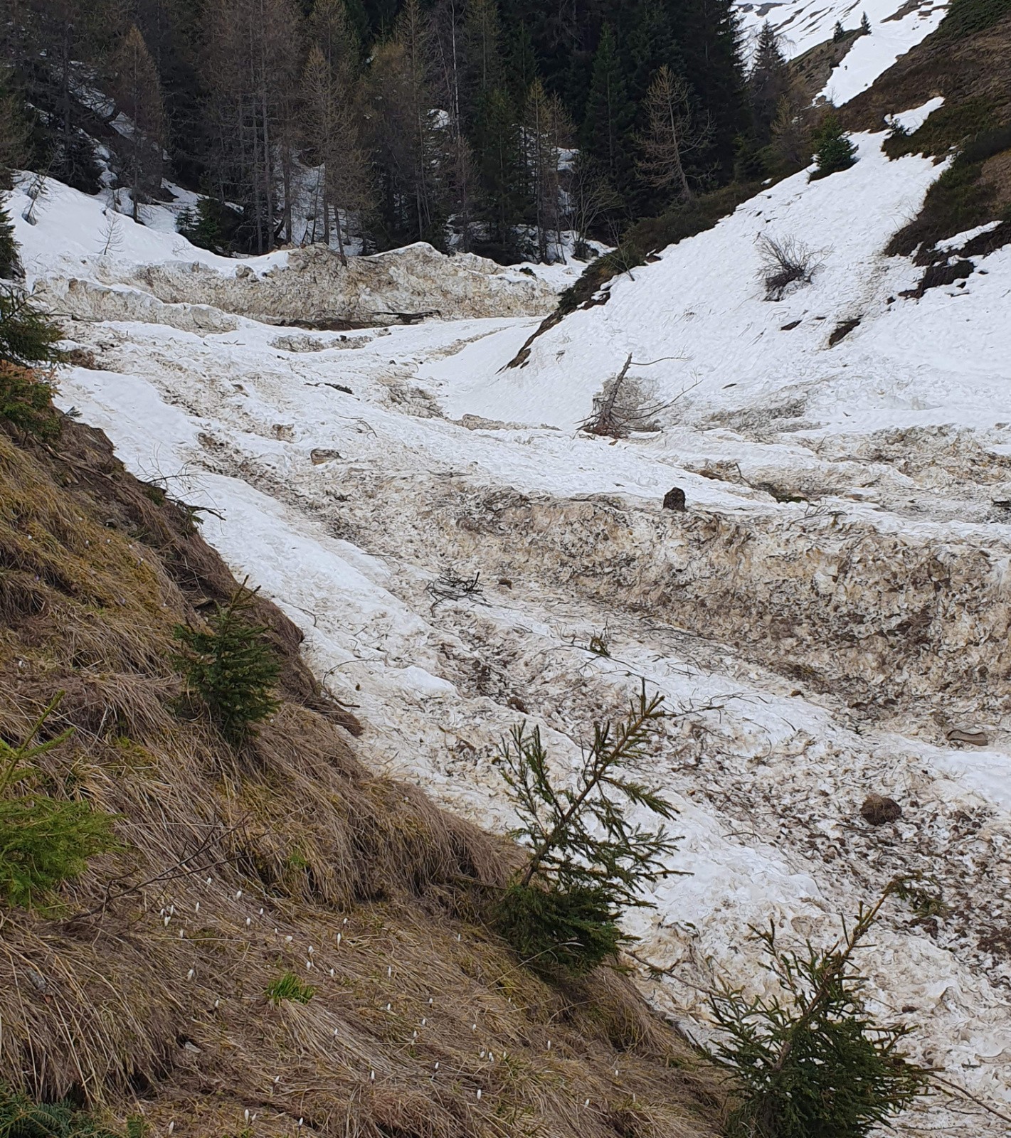 La piste de bobsleigh est prête pour les J.O. 2030