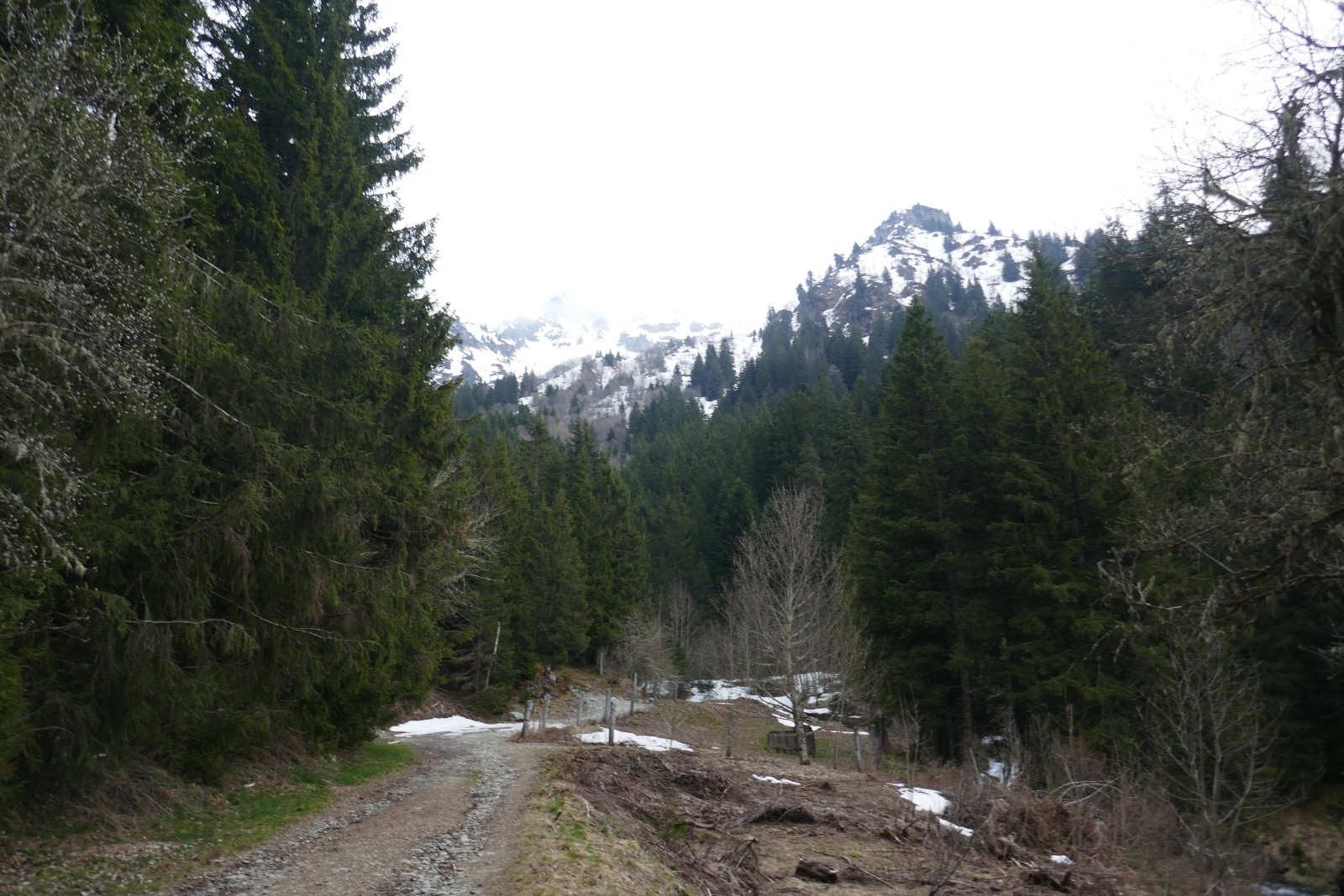 Depuis la piste à 1400m