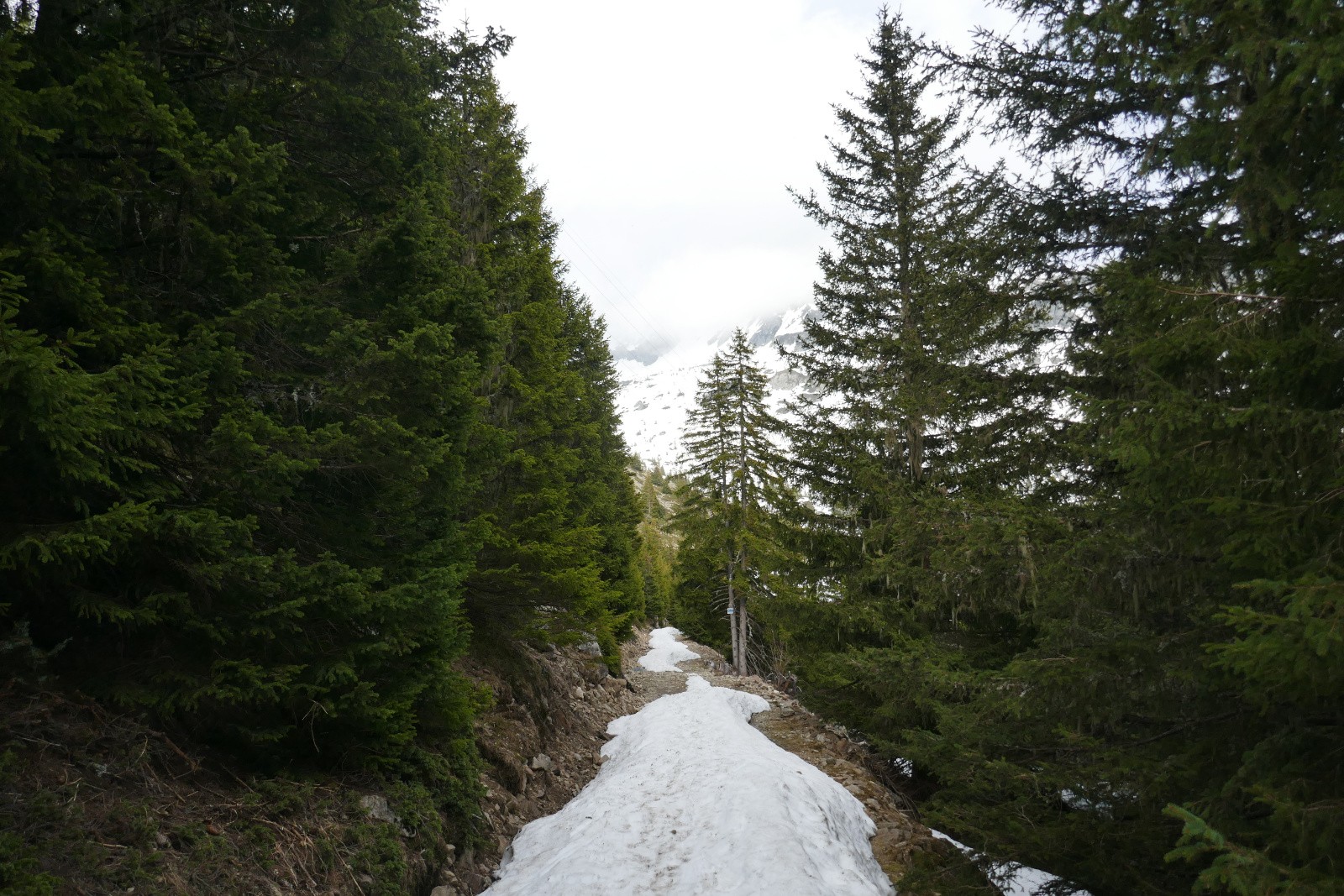 A 1650m, c'est de plus en plus fin !&nbsp; 